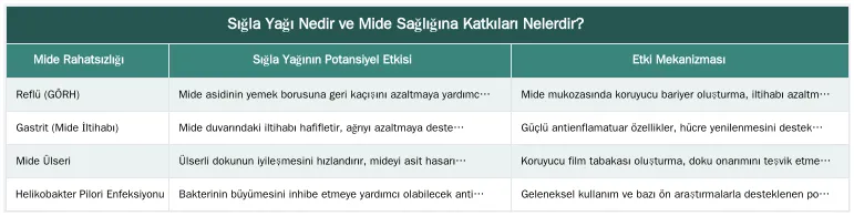 Sığla Yağı Nedir ve Mide Sağlığına Katkıları Nelerdir? — Mide İçin Sığla Yağı Kullanımı: Reflü, Gastrit ve Ülser Tedavisine Kapsamlı Doğal Destek Rehberi