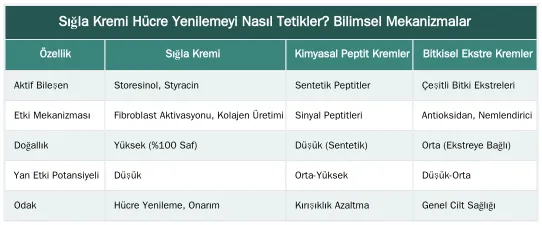 Sığla Kremi Hücre Yenilemeyi Nasıl Tetikler? Bilimsel Mekanizmalar — Sığla Kremi ile Hücre Yenileme: Cildin Doğal Onarım Sürecini Nasıl Hızlandırır?