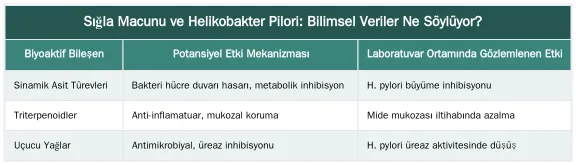 Sığla Macunu ve Helikobakter Pilori: Bilimsel Veriler Ne Söylüyor? — Sığla Macunu ve Helikobakter Pilori İlişkisi: Bilimsel Veriler ve Yorumlar