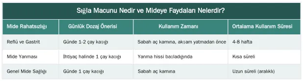 Sığla Macunu Nedir ve Mideye Faydaları Nelerdir? — Sığla Macununun Mideye Etkileri: Reflü ve Gastrit İçin Doğal Destek