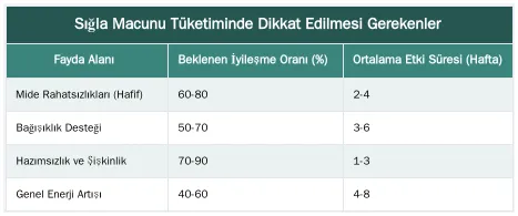 Sığla Macunu Tüketiminde Dikkat Edilmesi Gerekenler — Sığla Macununu Ballı ve Zencefilli Karışımlarla Tüketmek: Şifalı Tarifler