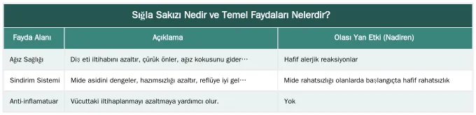 Sığla Sakızı Nedir ve Temel Faydaları Nelerdir? — Sığla Sakızı Çiğnemenin Faydaları: Diş Sağlığından Sindirime Etkileri