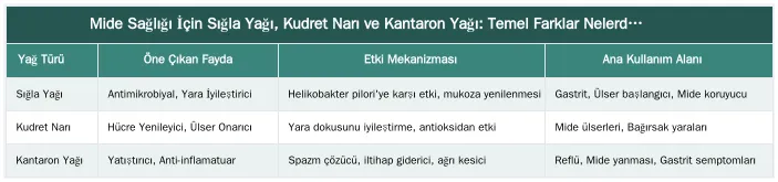 Mide Sağlığı İçin Sığla Yağı, Kudret Narı ve Kantaron Yağı: Temel Farklar Nelerdir? — Sığla Yağı vs. Diğer Mide Dostu Yağlar (Kudret Narı, Kantaron Yağı)