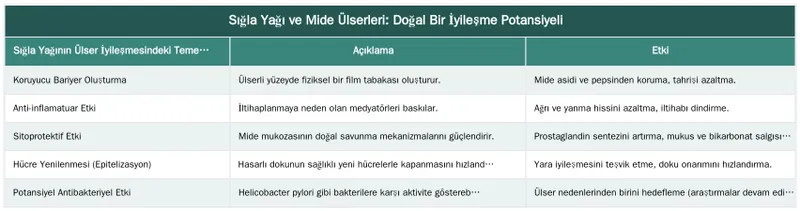 Sığla Yağı ve Mide Ülserleri: Doğal Bir İyileşme Potansiyeli — Sığla Yağının Mide Ülseri Yaralarını İyileştirme Mekanizması
