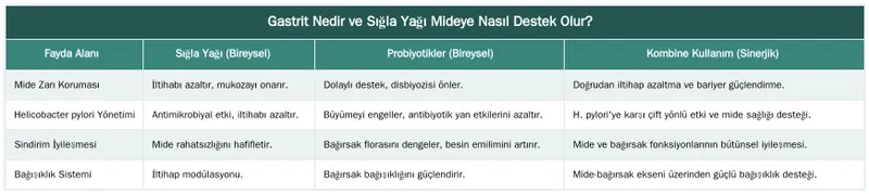 Gastrit Nedir ve Sığla Yağı Mideye Nasıl Destek Olur? — Sığla Yağı ve Probiyotikler: Gastrit İçin Güçlü Bir Kombinasyon