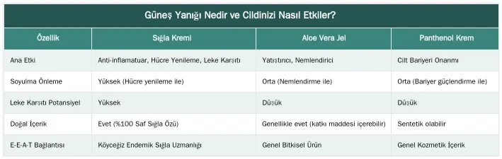 Güneş Yanığı Nedir ve Cildinizi Nasıl Etkiler? — Güneş Yanığı Sonrası Cildi Yatıştırmak ve Soyulmayı Önlemek İçin Sığla Kremi