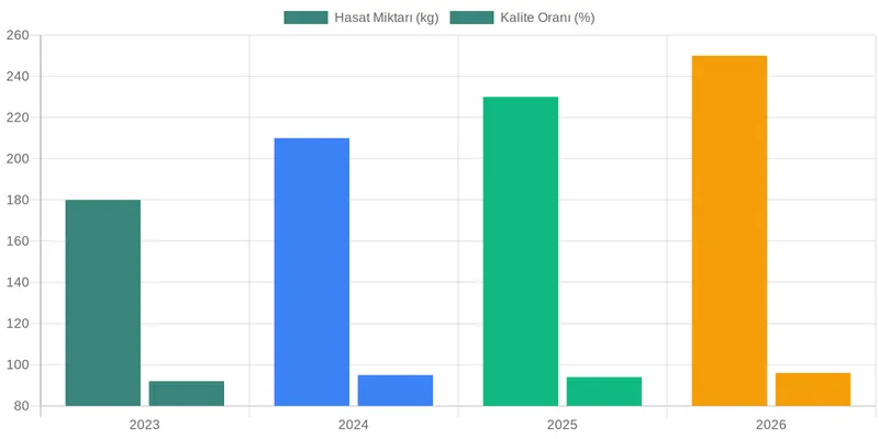 Sahte Sığla Sakızı Tehlikeleri ve Ayırt Etme Yöntemleri comparison chart — Hakiki Sığla Sakızı Nasıl Anlaşılır? Saflık ve Saklama Yöntemleri