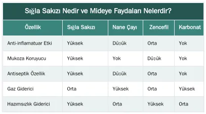 Sığla Sakızı Nedir ve Mideye Faydaları Nelerdir? — Mide Rahatlatıcı Olarak Sığla Sakızı: Hazımsızlık ve Şişkinliğe Karşı Kullanımı