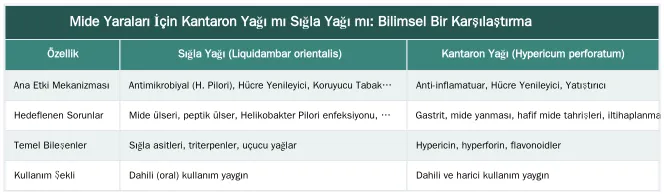 Mide Yaraları İçin Kantaron Yağı mı Sığla Yağı mı: Bilimsel Bir Karşılaştırma — Mide Yaraları İçin Kantaron Yağı mı, Sığla Yağı mı Tercih Edilmeli?