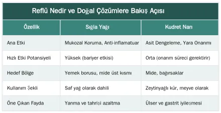 Reflü Nedir ve Doğal Çözümlere Bakış Açısı — Reflü İçin Sığla Yağı mı, Kudret Narı mı Daha Etkili?