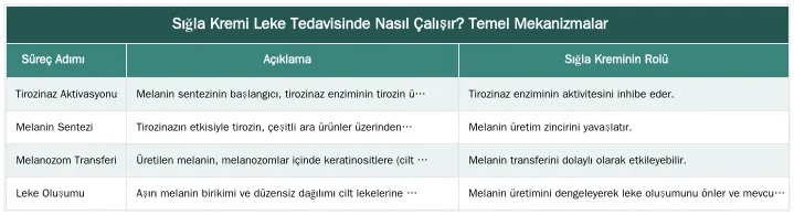 Sığla Kremi Leke Tedavisinde Nasıl Çalışır? Temel Mekanizmalar — Sığla Kremi Leke Tedavisinde Nasıl Çalışır? Melanin Üretimine Etkisi