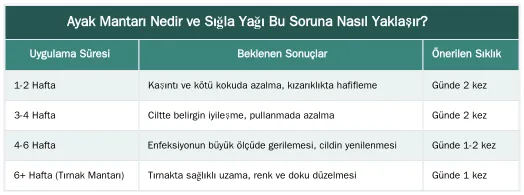 Ayak Mantarı Nedir ve Sığla Yağı Bu Soruna Nasıl Yaklaşır? — Sığla Yağının Antifungal Özellikleri ile Ayak Mantarına Karşı Etkisi