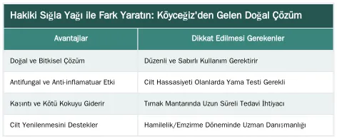 Hakiki Sığla Yağı ile Fark Yaratın: Köyceğiz'den Gelen Doğal Çözüm — Sığla Yağının Antifungal Özellikleri ile Ayak Mantarına Karşı Etkisi