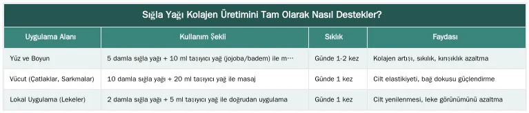 Sığla Yağı Kolajen Üretimini Tam Olarak Nasıl Destekler? — Sığla Yağının Kolajen Üretimini Destekleyici Özellikleri