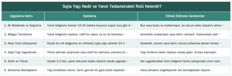 Sığla Yağı Nedir ve Yanık Tedavisindeki Rolü Nelerdir? — Birinci ve İkinci Derece Yanıklar Sonrası Sığla Yağı Nasıl Uygulanır?